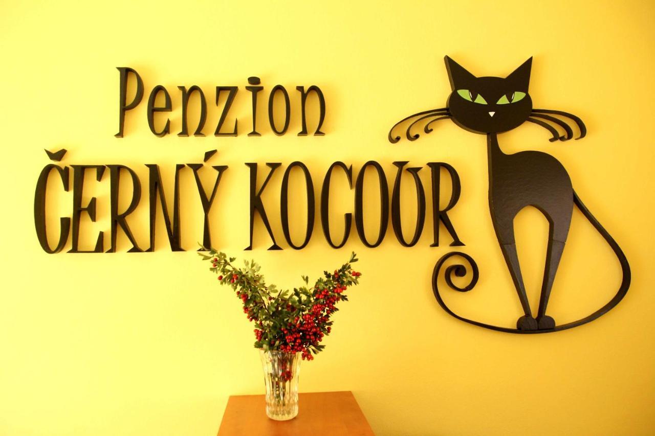 Cerny Kocour Apart Hotel Sarovy Экстерьер фото